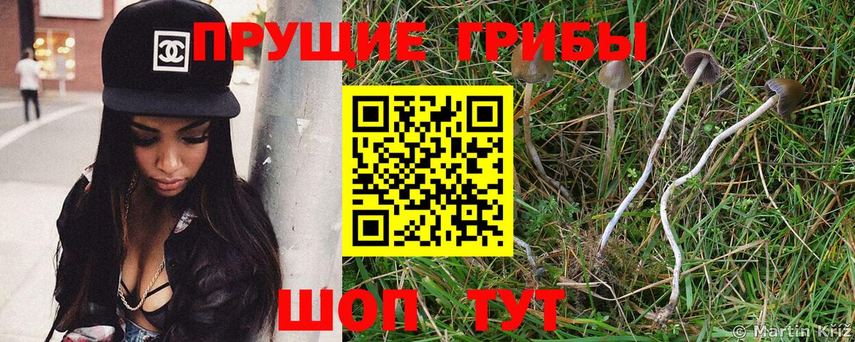 Псилоцибиновые грибы мухоморы  наркота  Дербент  Вход с VPN 