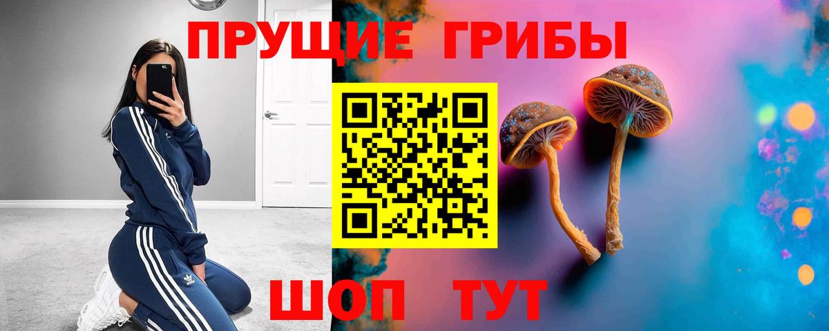 Галлюциногенные грибы Magic Shrooms Дербент